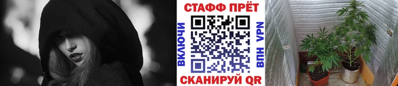 Наркошоп Краснознаменск ГАШИШ  blacksprut как зайти  Cocaine  АМФ  Меф мяу мяу  Каннабис 