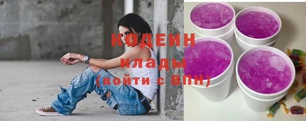 хмурый Магас