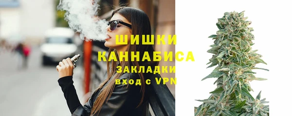 хмурый Магас