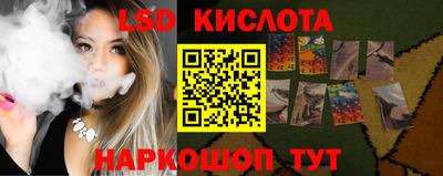 шишки Гай
