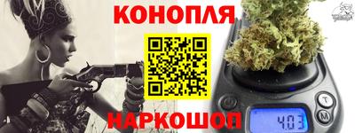 шишки Гай