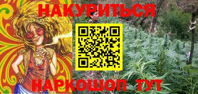 шишки Гай