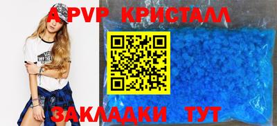 шишки Гай