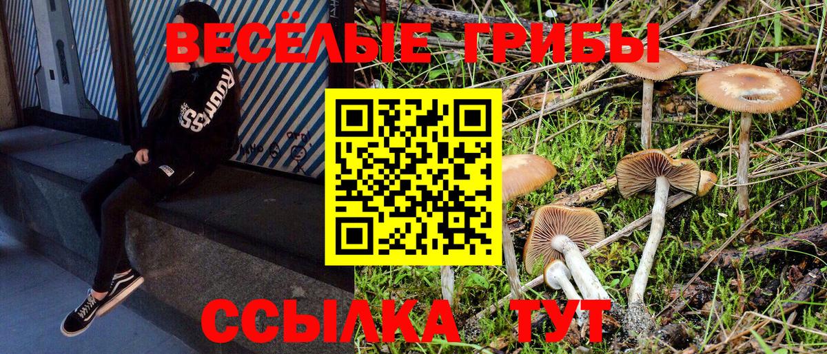 Краснознаменск  где найти наркотики  Вход с VPN  Псилоцибиновые грибы мухоморы 