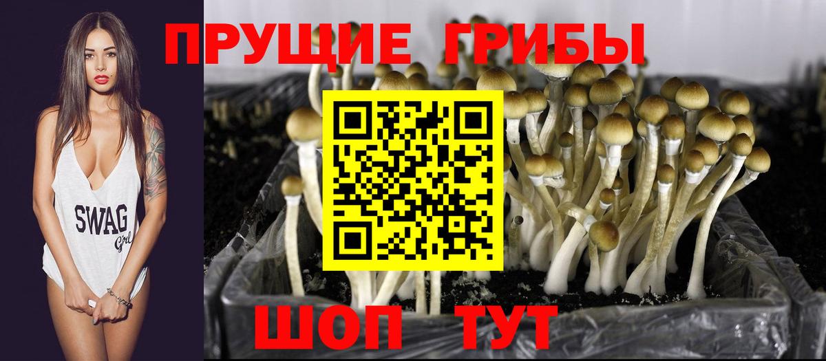 Псилоцибиновые грибы Magic Shrooms Краснознаменск