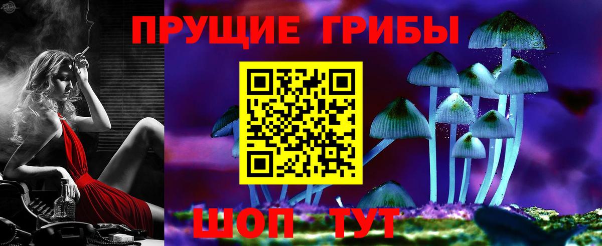 Галлюциногенные грибы прущие грибы  Краснознаменск 