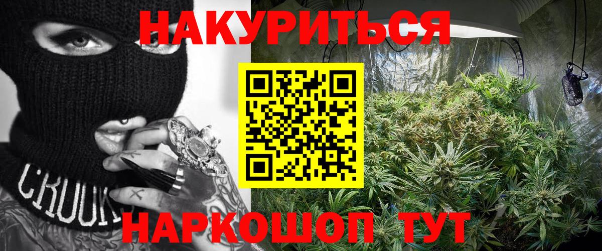 Бошки Шишки план Краснознаменск